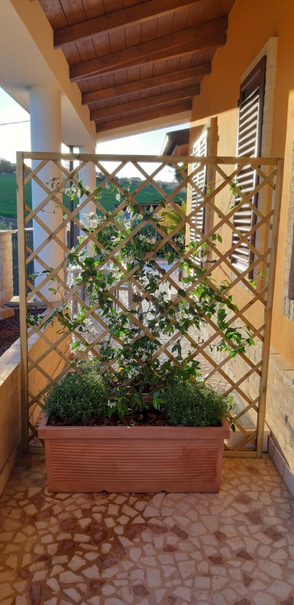 SantʼElpidio a Mare B&B Agrifoglio المظهر الخارجي الصورة