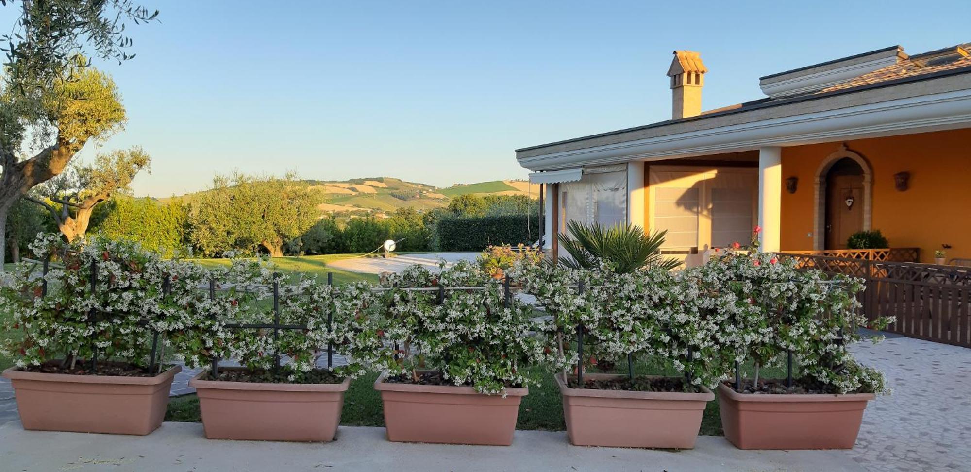 SantʼElpidio a Mare B&B Agrifoglio المظهر الخارجي الصورة