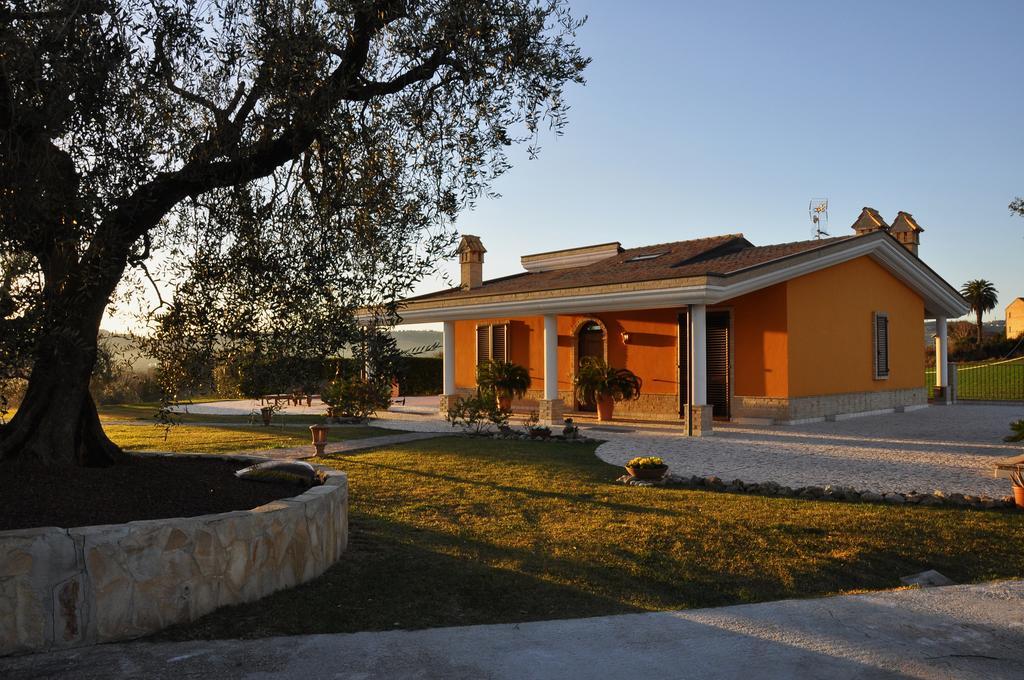 SantʼElpidio a Mare B&B Agrifoglio المظهر الخارجي الصورة